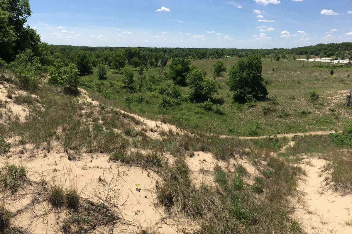 Bare sand in the foreground giving way to green grassland and woodland, on land that was once covered in hills of sand at Indiana Dunes