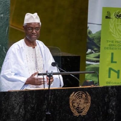 Ibrahim Thiaw speaking at the United Nations
