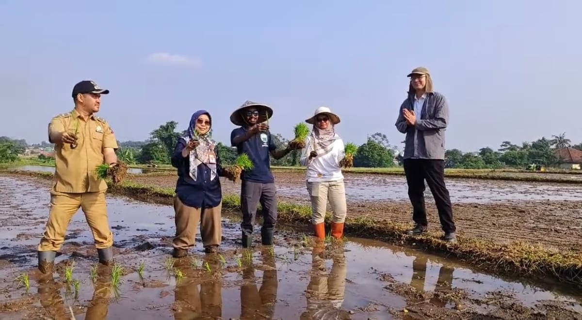 Sahil Jha planting rice seedlings in a flooded paddy field with local officials and farmers